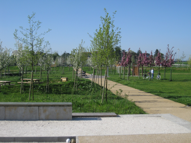 Ein von Bäumen und Bänken gesäumter Parkweg, auf dem Menschen Fahrräder fahren, mit Gebäuden und einem klaren blauen Himmel im Hintergrund und saftigem grünem Gras, das den Boden bedeckt.