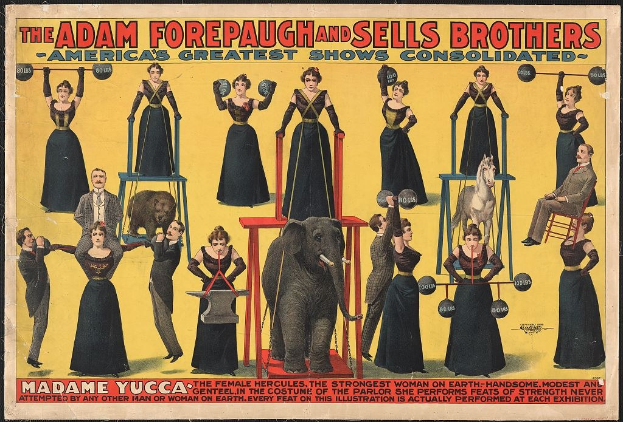 Plakat für die vereinten Shows von Adam Forepaugh und Sells Brothers mit Performern auf Hockern um einen zentralen Elefanten mit Werbetext
