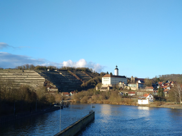 Ein malerischer Blick auf den Rhein in Deutschland, mit einer Brücke, die den Fluss überspannt, Laternenmasten entlang der Ufer, Bäume und Gebäude entlang der Flussufer und einem Hügel im Hintergrund bei einer bewölkten Himmelslage.