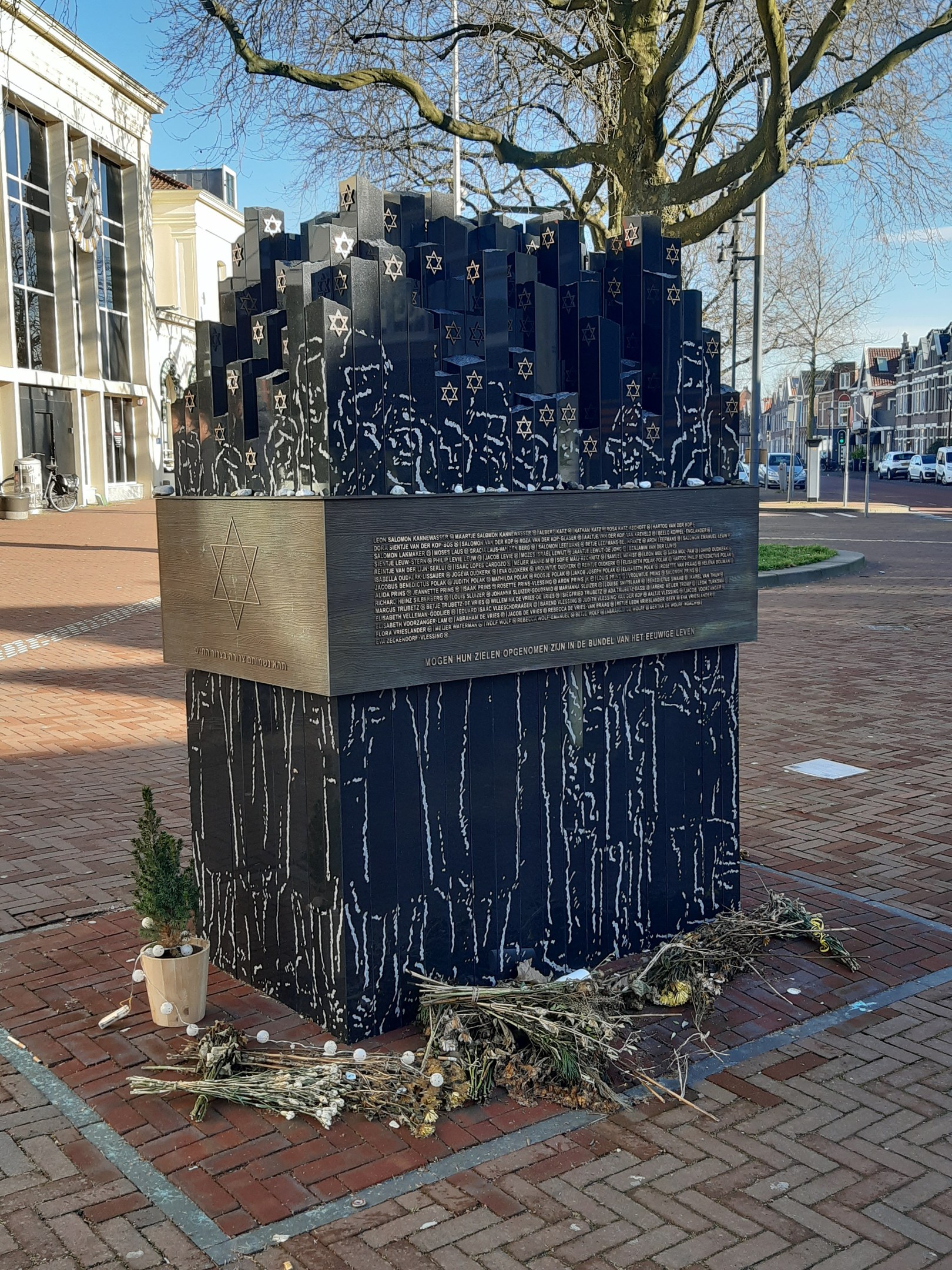 Denkmal in einem Stadtplatz, das an Holocaust-Opfer erinnert, mit einem Baum davor, einer Topfpflanze, verstreuten trockenen Blättern und Gebäuden, Fahrzeugen und Bäumen im Hintergrund.