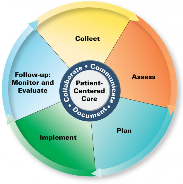 Kreisförmige Diagramm mit der Bezeichnung "patientenorientierte Versorgung" mit vier farbigen Abschnitten, die jeweils mit einem spezifischen Aspekt der Versorgung beschriftet sind.