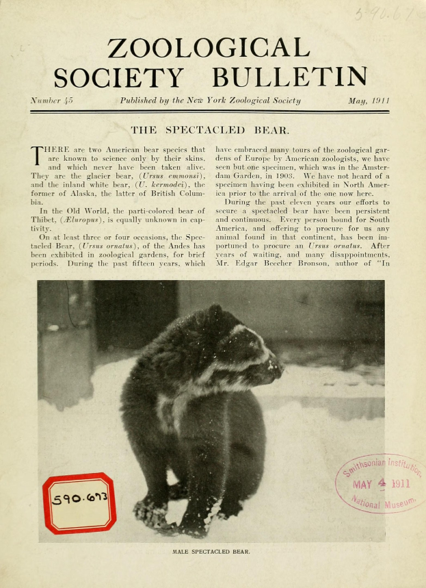 Schwarzes und weißes Foto eines Waschbären auf dem Cover eines zoologischen Gesellschaftsbulletins mit Text.