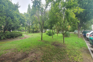 Ein Park mit Bäumen, Pflanzen, Gras, Bänken, trockenen Blättern auf dem Boden, einem Parkplatz mit Autos, Fahrzeugen auf der Straße, Gebäuden und einem Himmel im Hintergrund.