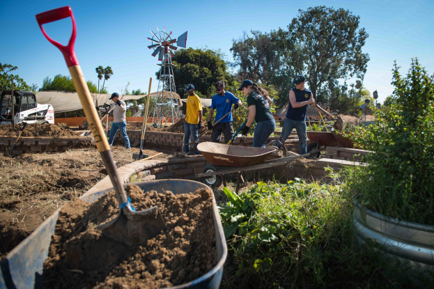 Eine Gruppe von Menschen, die mit Schaufeln in einem Garten arbeiten, umgeben von Pflanzen, Bäumen und einer Windmühle im Hintergrund.