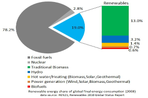 Tortendiagramm, das den globalen erneuerbaren Energieverbrauch im Jahr 2008 zeigt, unterteilt in Abschnitte für fossile Brennstoffe, Kernenergie, Wasserkraft, Heißwasser, Heizung, Biomasse, Solarenergie, Geothermie und Biokraftstoffe.