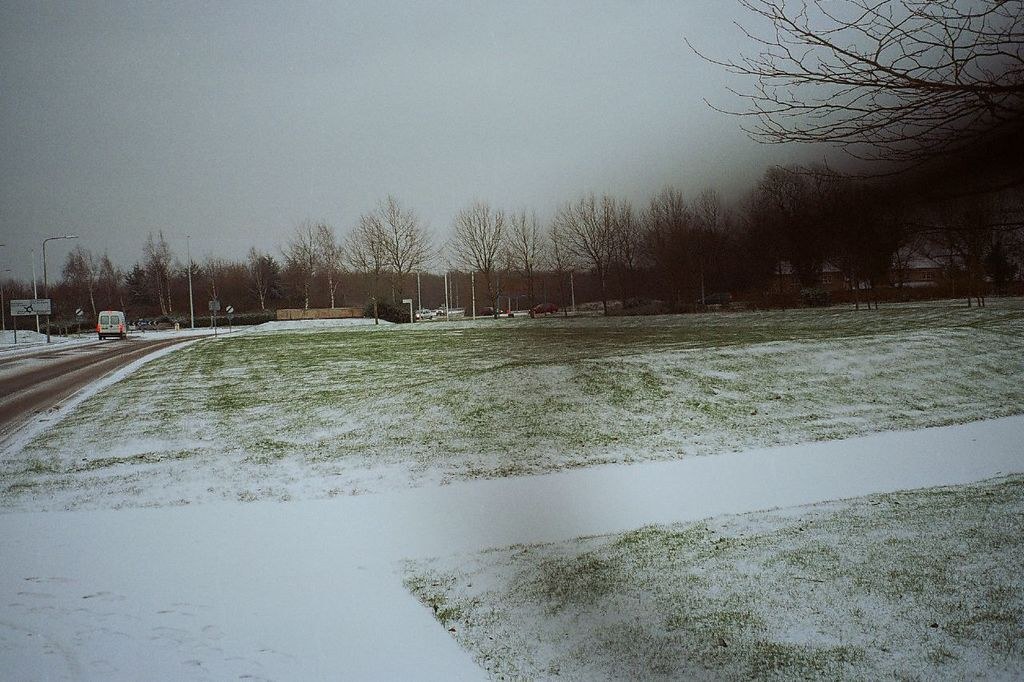 Schneebedeckte Straße mit Fahrzeugen in nebligen Bedingungen, umgeben von Bäumen.