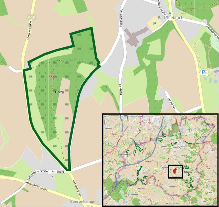 Ein detaillierter Stadtplan, der einen zentralen grünen Bereich als geplanten Entwicklungsstandort markiert, mit umliegenden Straßen, Gebäuden und Sehenswürdigkeiten.