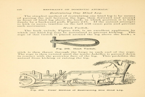 Ein altes Buch mit einer Zeichnung einer Kuh, die einen Wagen zieht, mit einem Baum im Hintergrund und der Inschrift "Einschränkungen von Haustieren" auf der Seite.