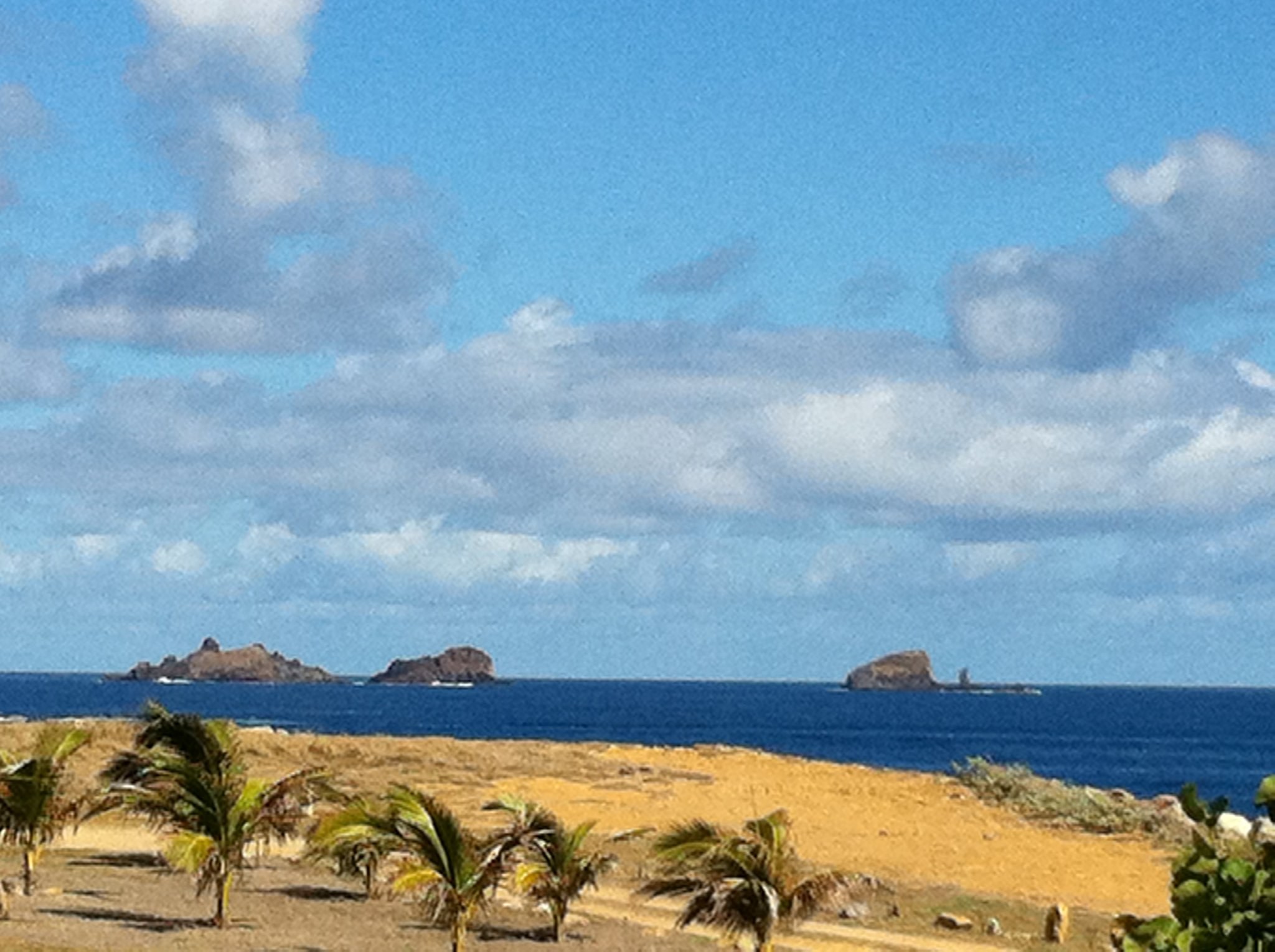Eine Strandszene mit Palmen, grünem Gras, einem Gewässer und fernen Bergen unter einem blauen und weißen Himmel.