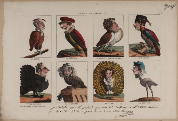 Ein Buchumschlag mit einer Vielfalt bunter Vögel in verschiedenen Größen, Menschen in verschiedenen Kostümen und Text.