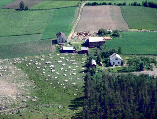 POL-BO: High Noon in Herbede: Showdown zwischen Hund, Schaf und Sheriff