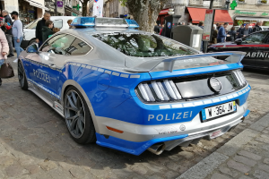 Ein blau-weißer Polizeiwagen steht an der Stra├če mit vielen Menschen drumherum, einige halten Taschen, und Geb├Ąude mit Fenstern und B├Ąumen im Hintergrund, sowie einem M├╝lltonnen.