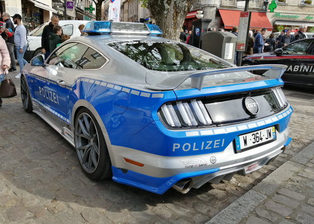 Ein blau-weißer Polizeiwagen steht an der Stra├če mit vielen Menschen drumherum, einige halten Taschen, und Geb├Ąude mit Fenstern und B├Ąumen im Hintergrund, sowie einem M├╝lltonnen.